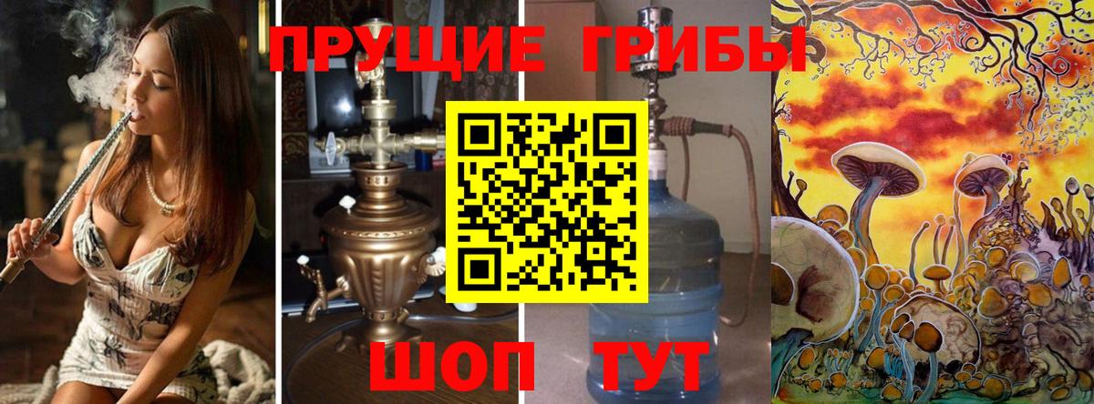 Галлюциногенные грибы Psilocybine cubensis Краснознаменск