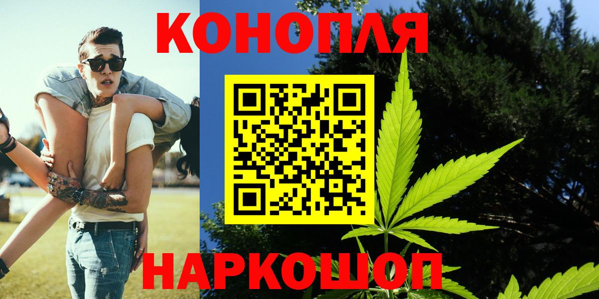 Канабис OG Kush Краснознаменск